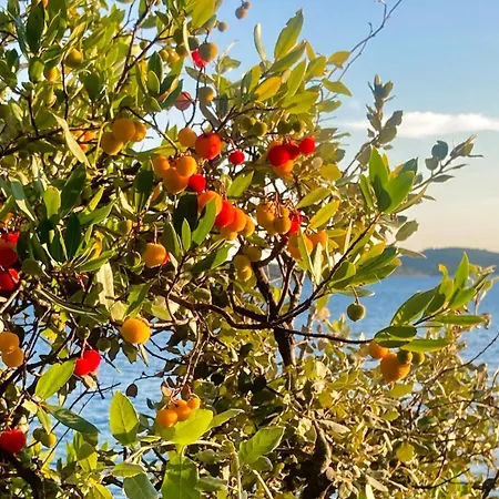 Villablu.eu Feriehus