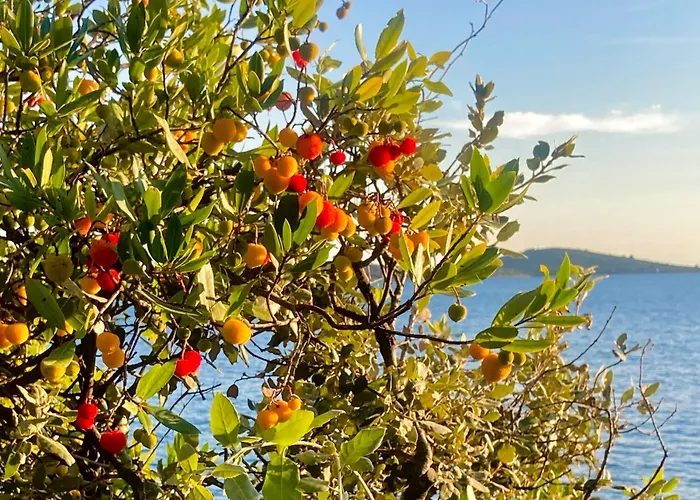 Villablu.eu Ferienhaus